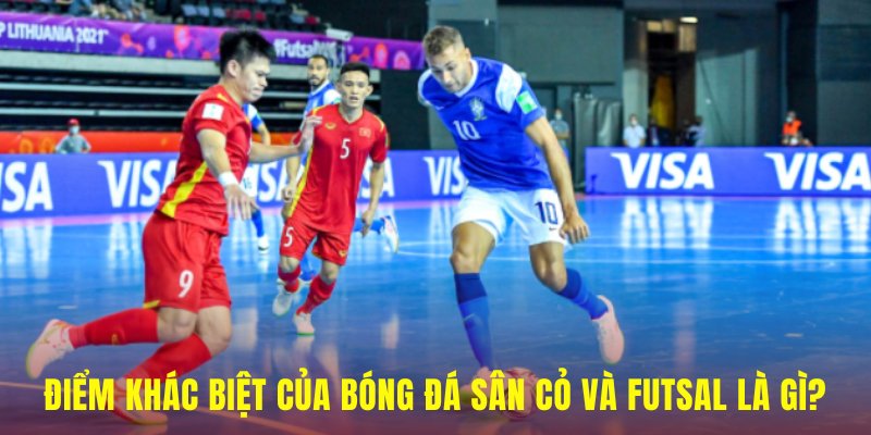 Điểm khác biệt của bóng đá sân cỏ và trong nhà