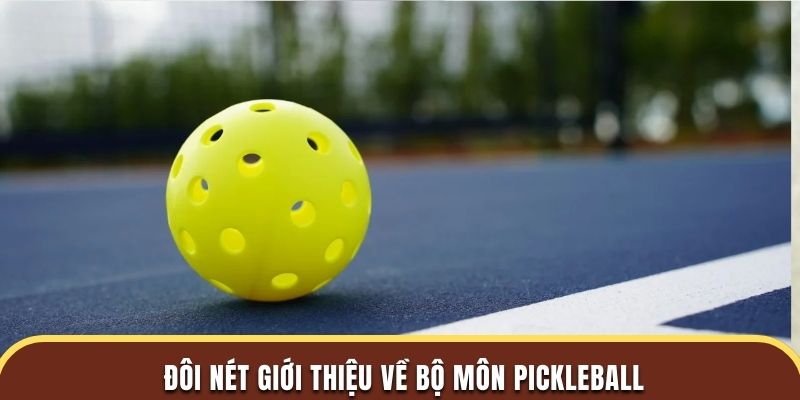 Đôi nét giới thiệu về bộ môn Pickleball