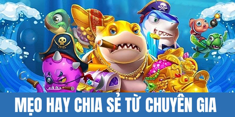 Mẹo hay chia sẻ từ chính chuyên gia kinh nghiệm